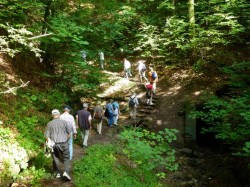 an den Heslacher Wasserfällen