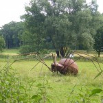 Spinne