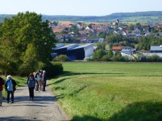 zu den Kirschenbaumfeldern
